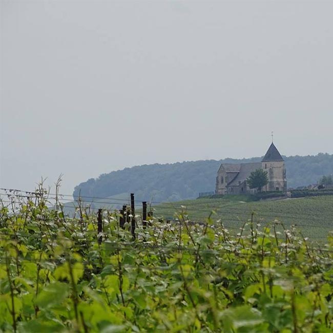 Champagne fruité Épernay