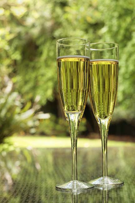 Smooth Champagne Vinay